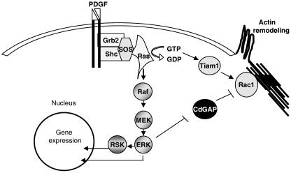 FIG. 10.