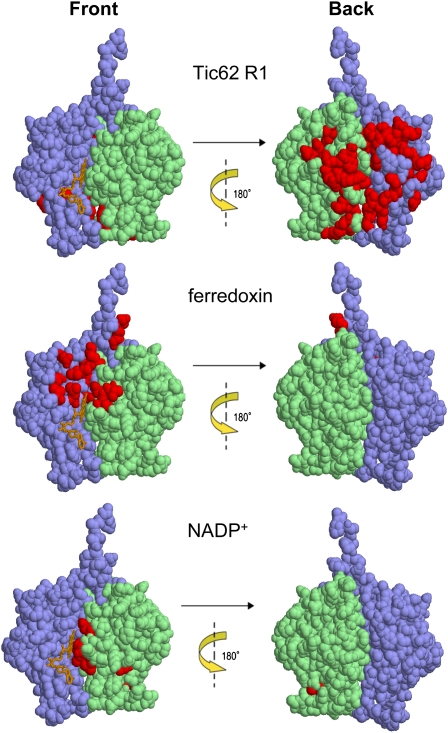 Figure 7.