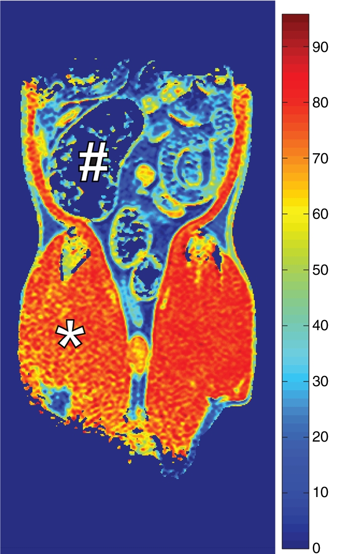 Figure 2c: