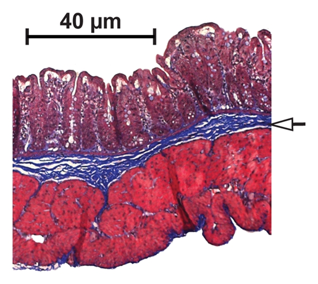 Figure 4d: