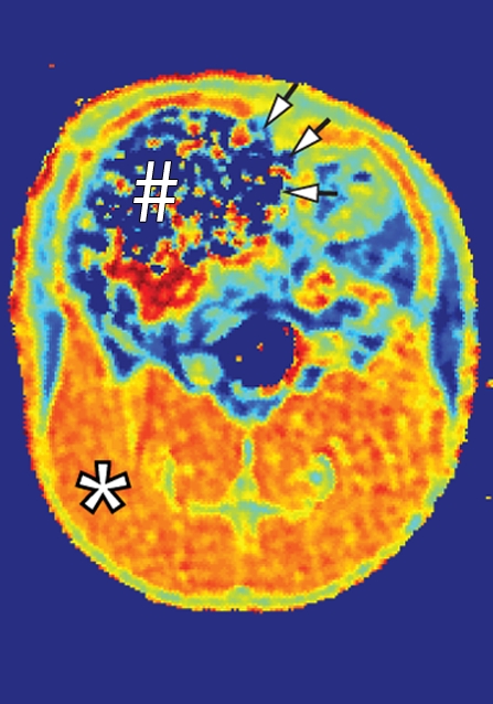 Figure 4c: