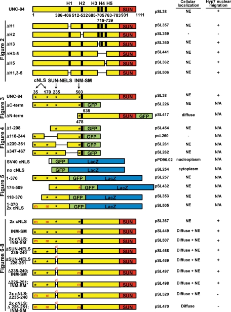 FIGURE 1: