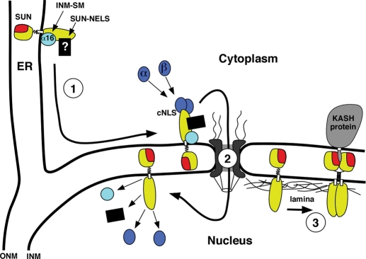 FIGURE 10: