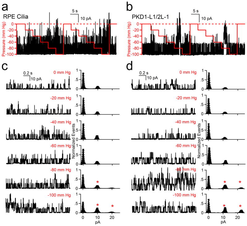 Extended Data Figure 5