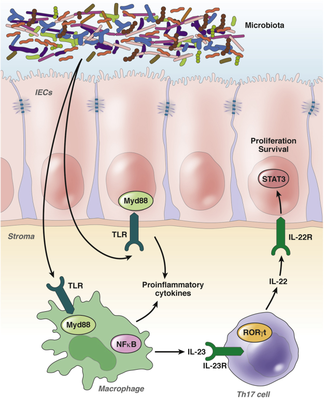 Figure 3