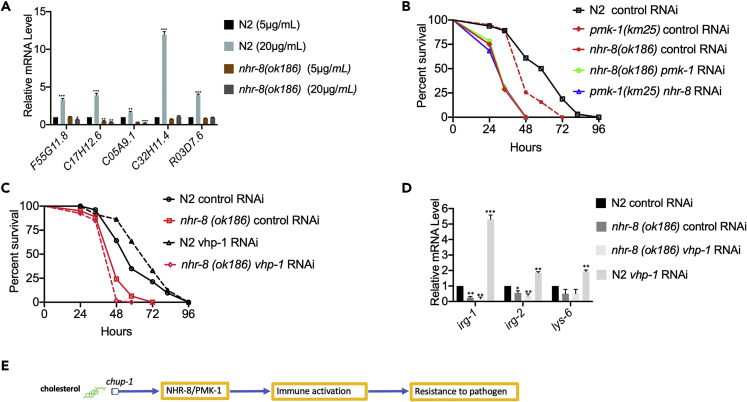 Figure 4