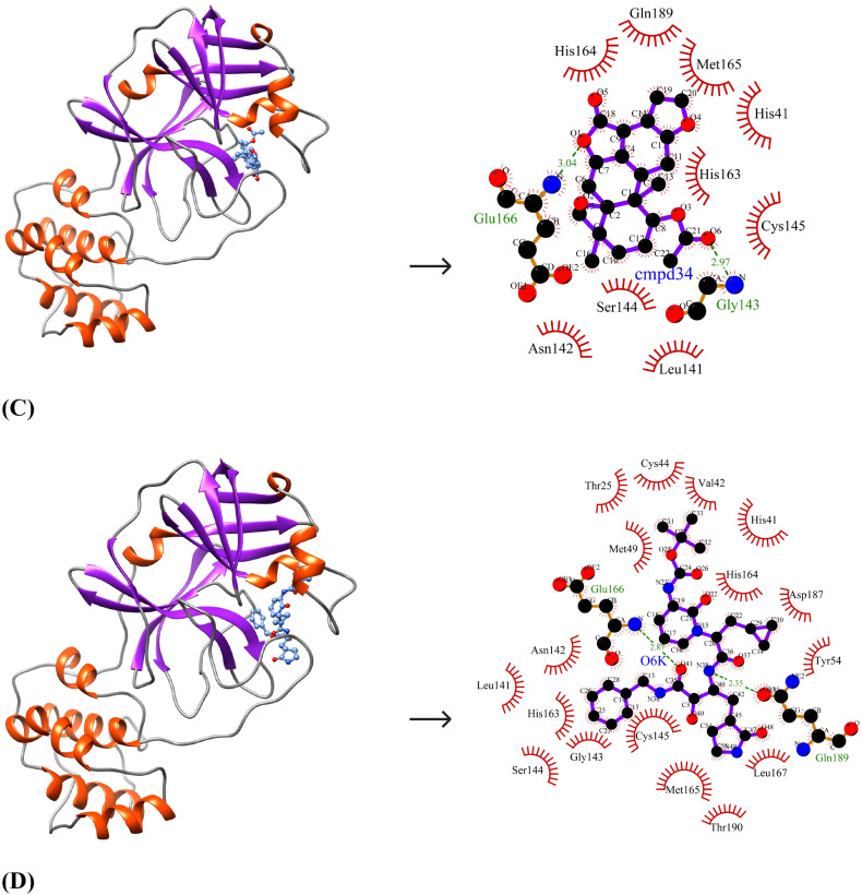 Fig. 4