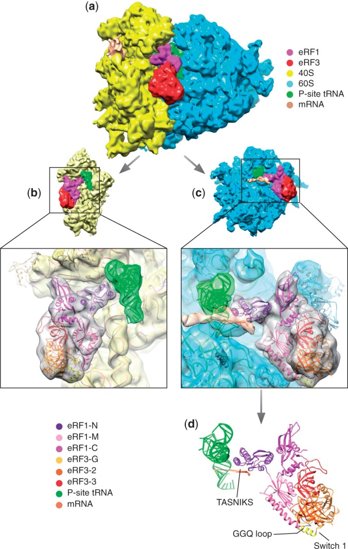 Figure 2.