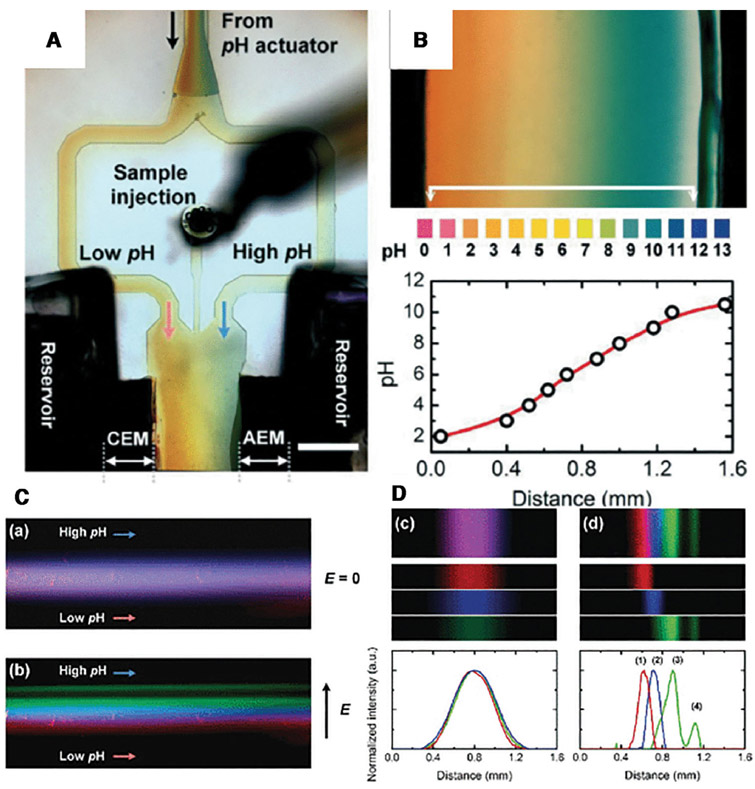 Figure 6.