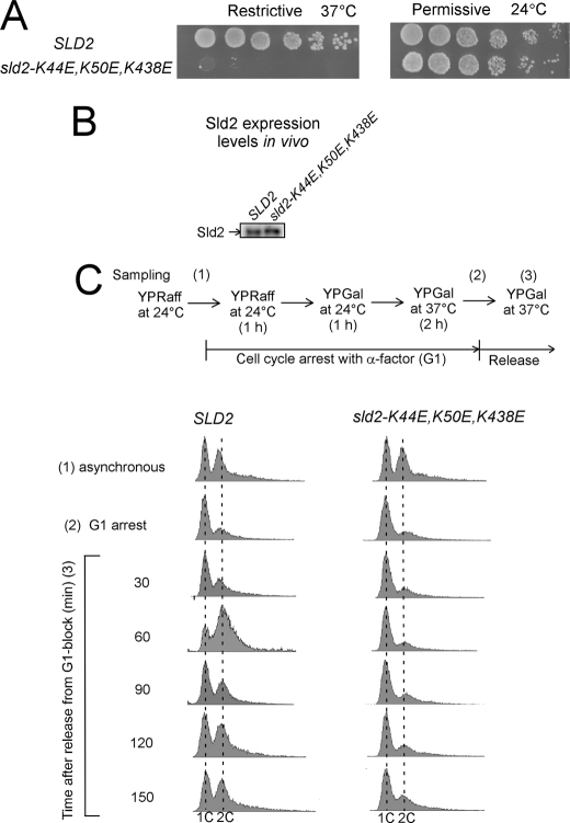 FIGURE 14.