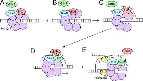 FIGURE 1.