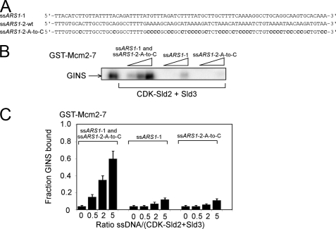 FIGURE 10.