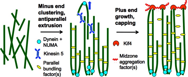 FIGURE 9: