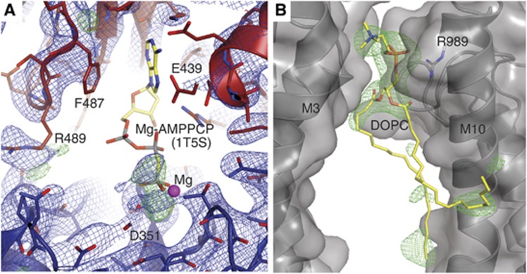 Figure 4