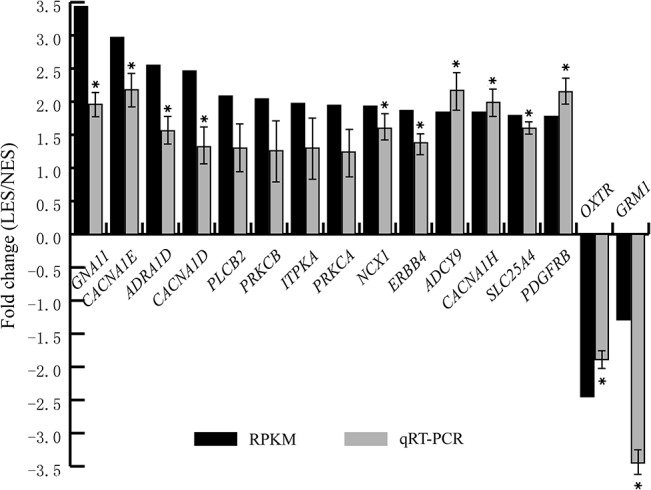 Fig 5