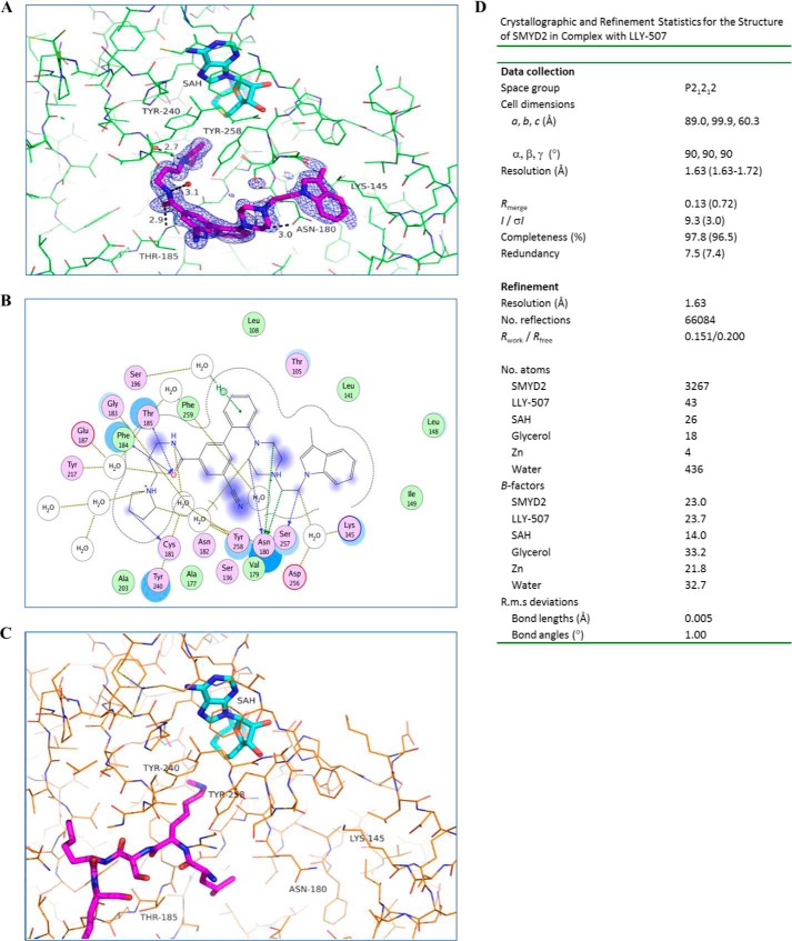 FIGURE 2.