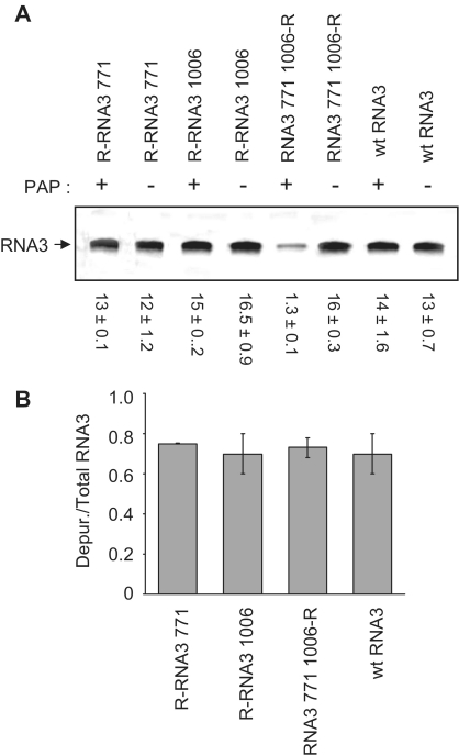 Figure 10.