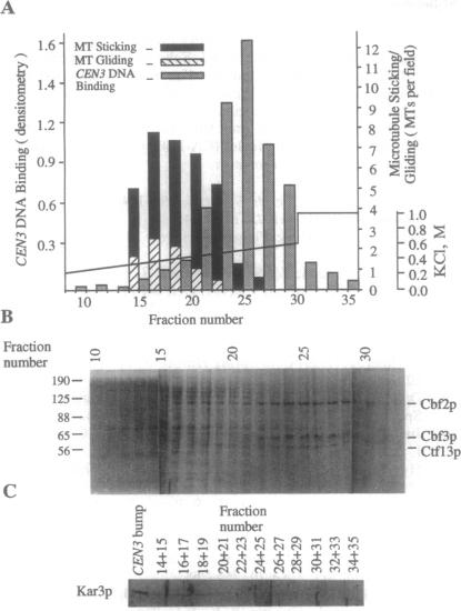 graphic file with name pnas01137-0509-a.jpg