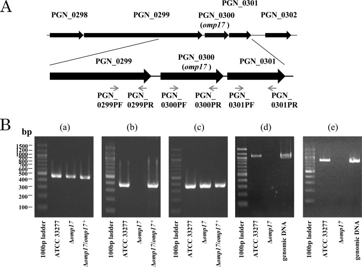 FIG 3