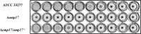FIG 2
