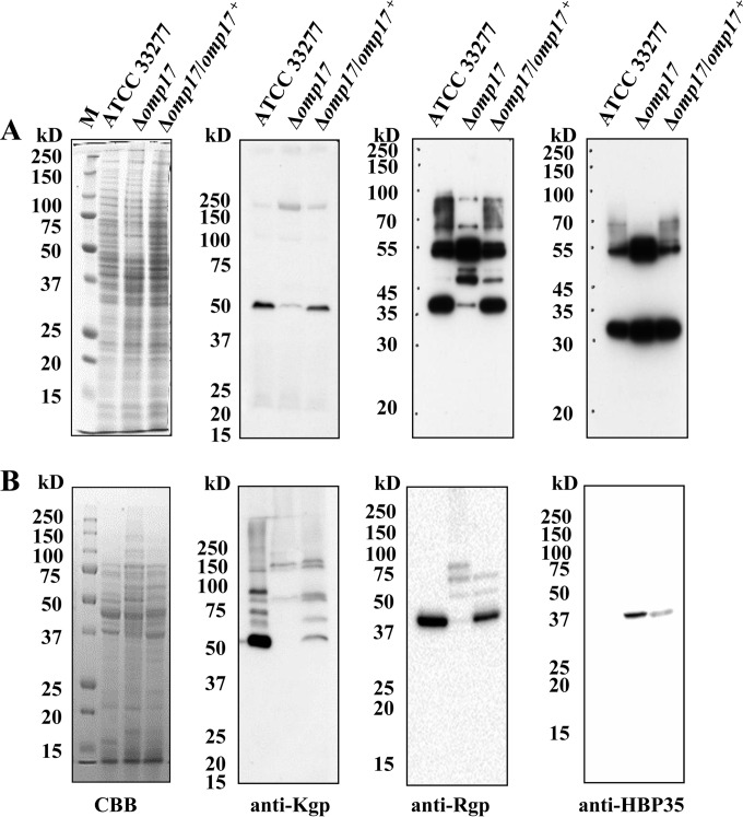 FIG 5