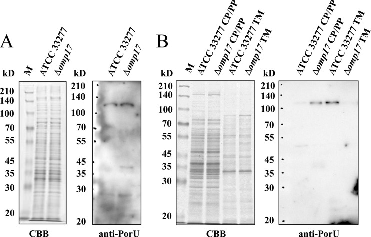 FIG 8