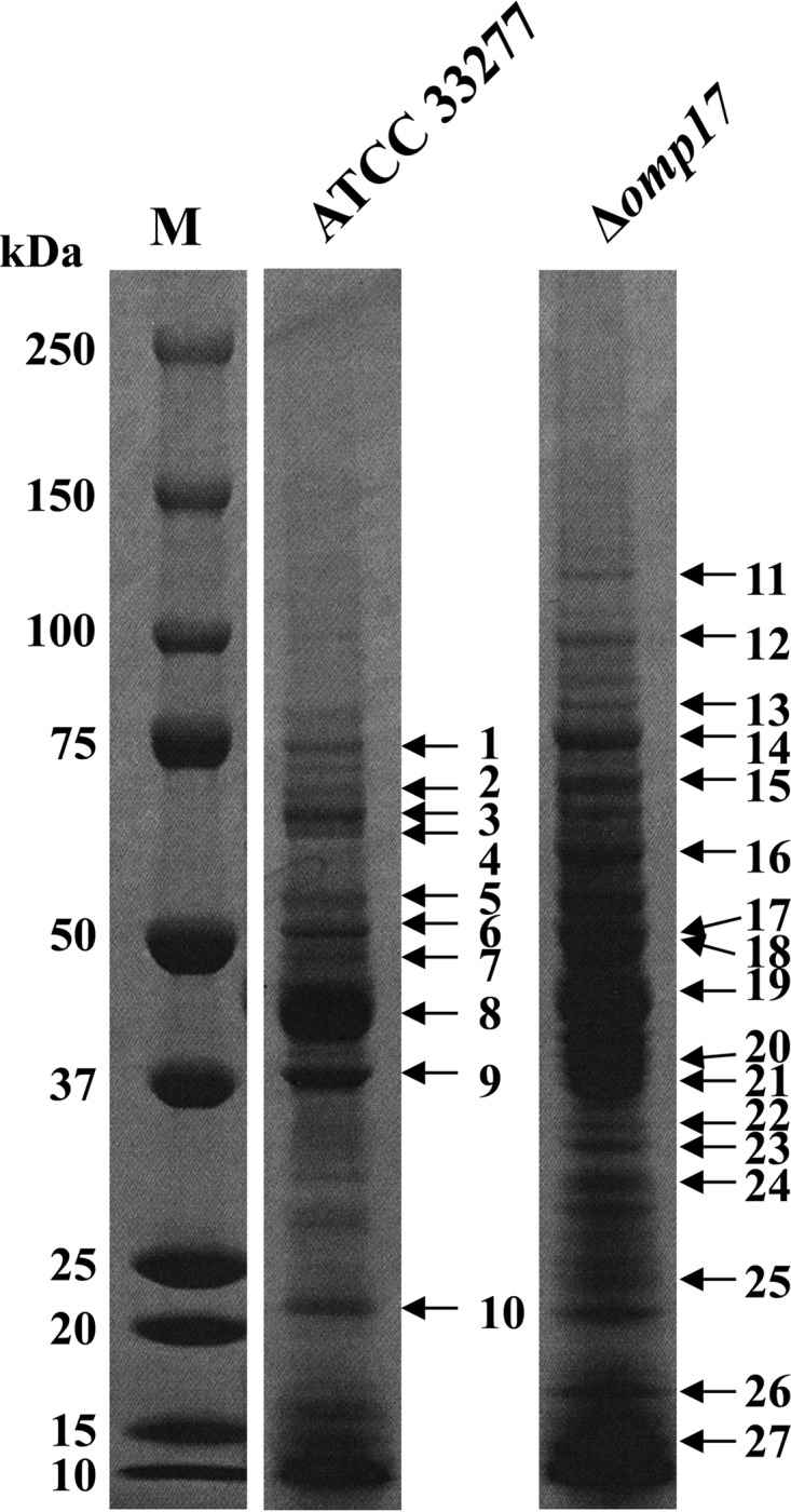 FIG 6