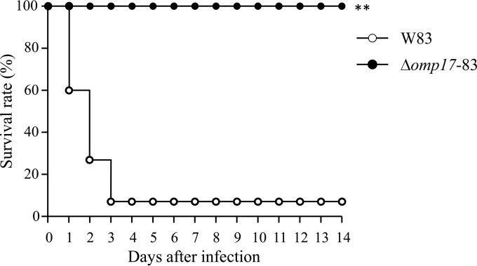 FIG 10