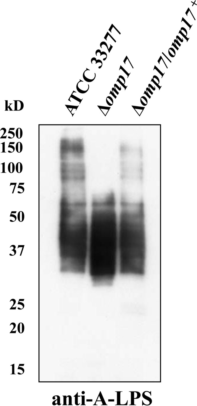 FIG 9