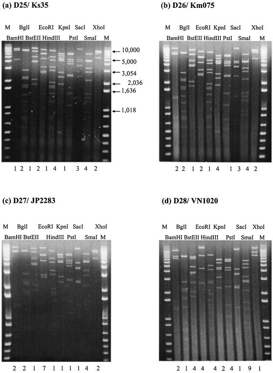 FIG. 2.