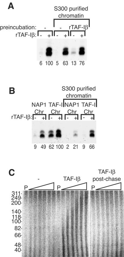 FIG. 8.