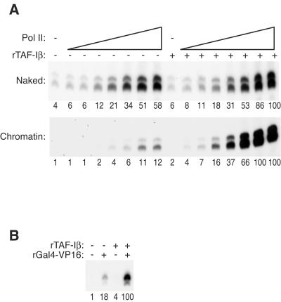 FIG. 5.