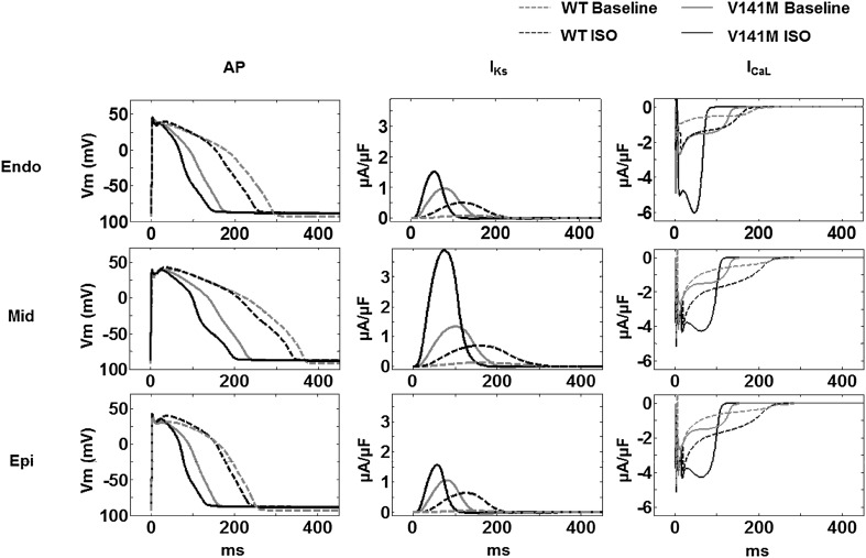 Fig. 2