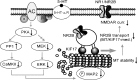 Figure 10.
