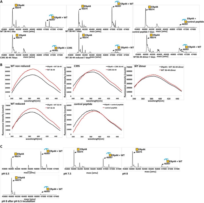 FIGURE 3.