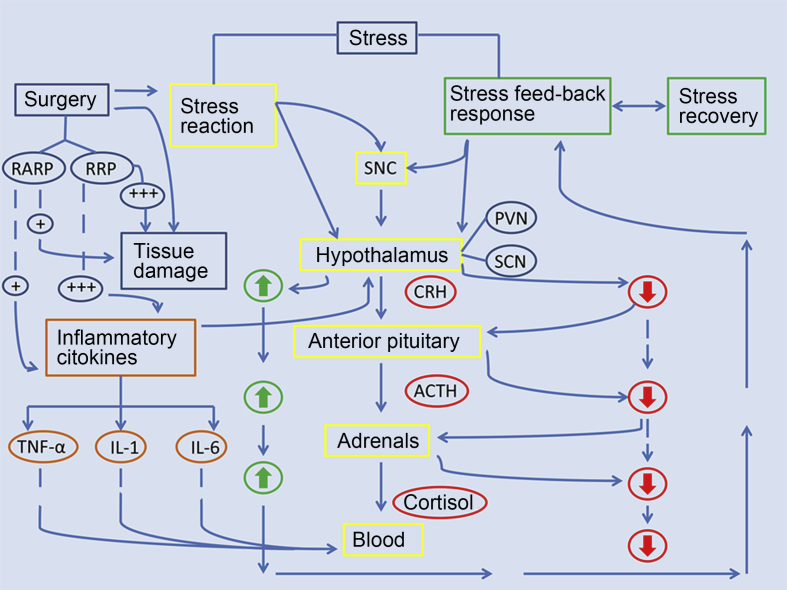 Figure 4