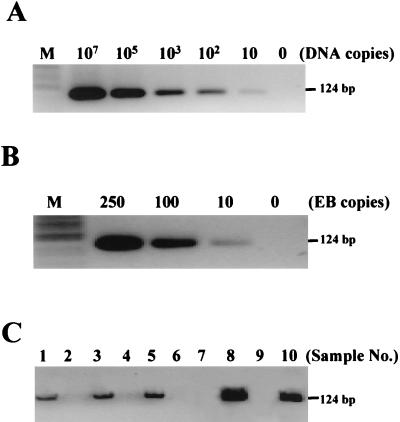 FIG. 2.