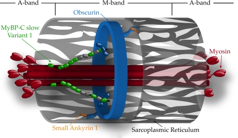 Figure 9.