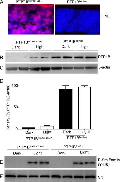 Fig. 9.