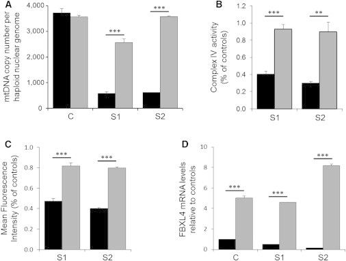 Figure 6