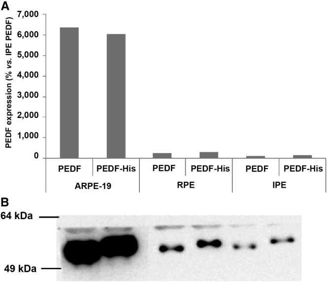 Figure 3