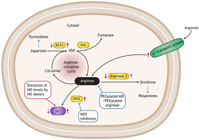 Fig. 3.