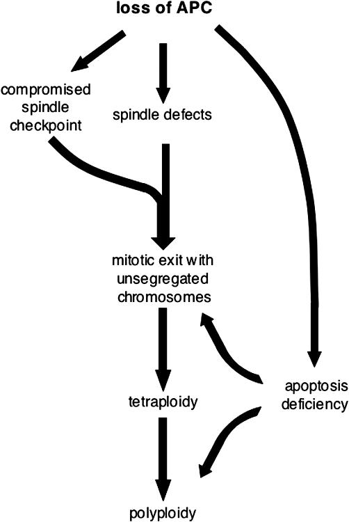 Figure 9.