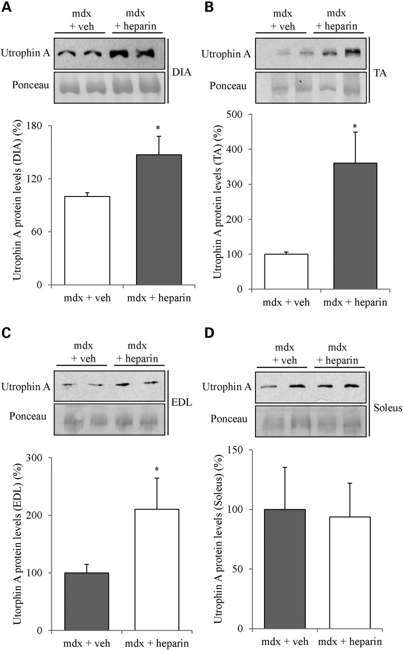 Figure 2.