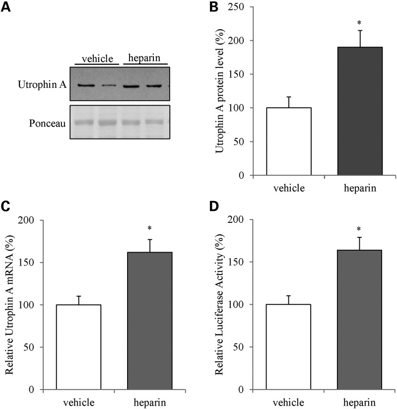 Figure 1.