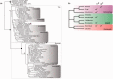 <sc>Fig</sc>. 2.—