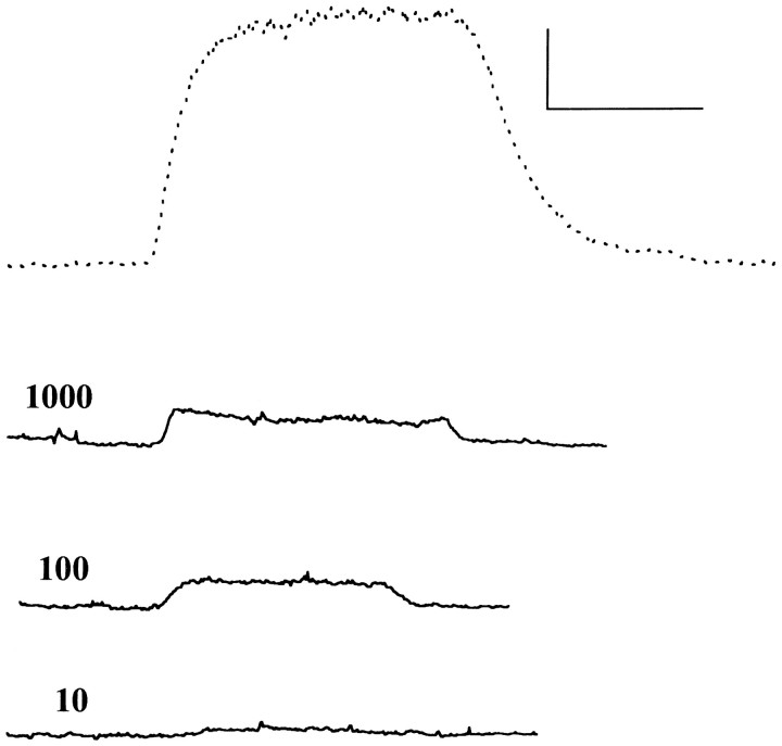 Fig. 5.