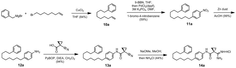 Scheme 5