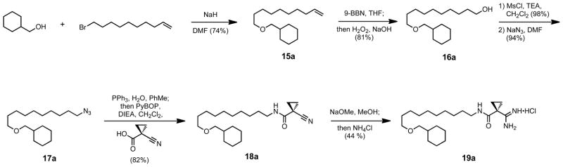 Scheme 6