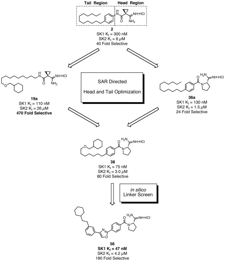 Scheme 2